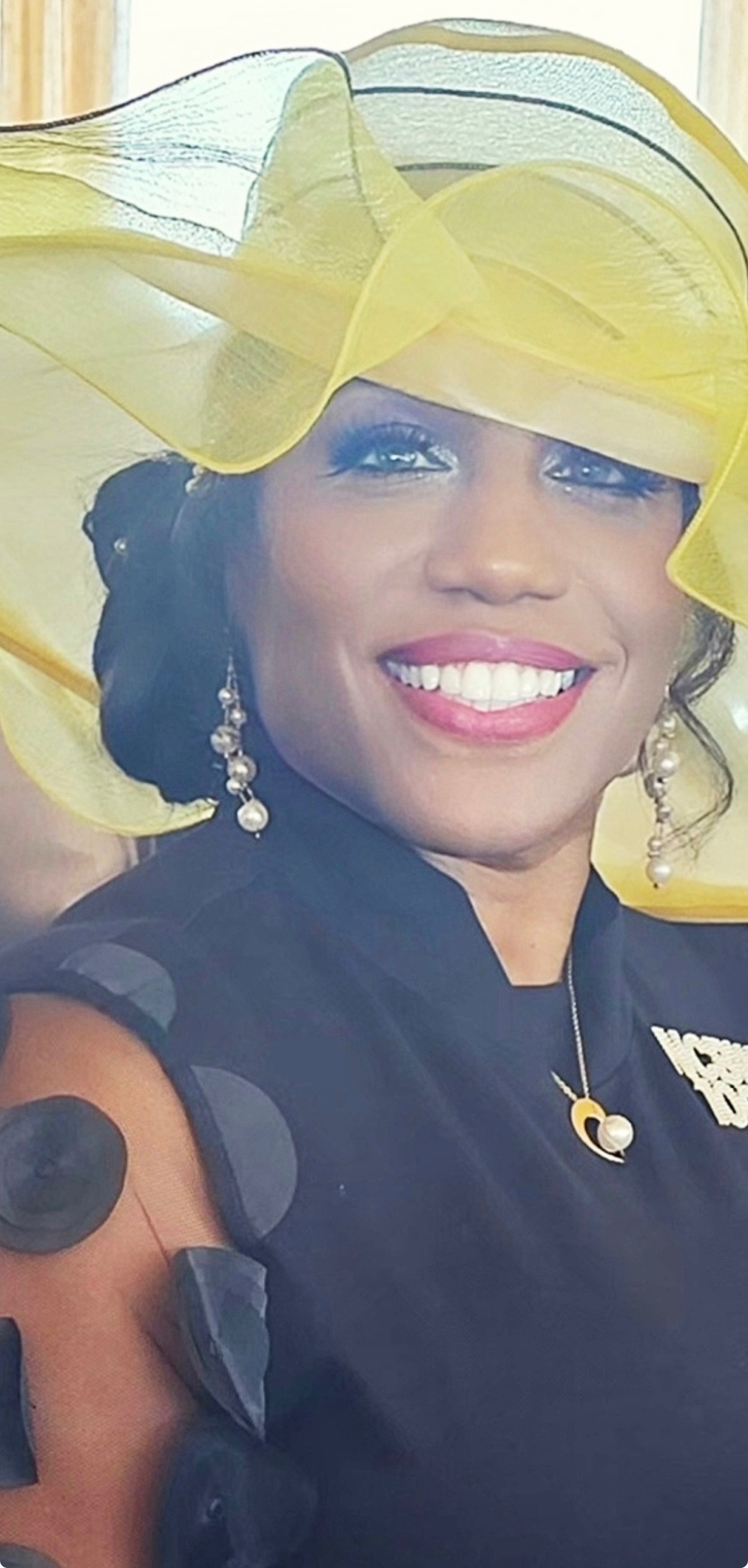 Karen Johnson, Chapter President